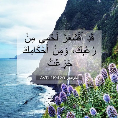 Picture 07 - اَلْمَزَامِيرُ 119:120 AVD - قَدِ ٱقْشَعَرَّ لَحْمِي - Bible Verse Picture