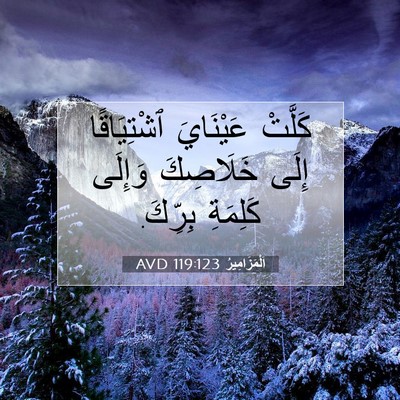 Picture 07 - اَلْمَزَامِيرُ 119:123 AVD - كَلَّتْ عَيْنَايَ - Bible Verse Picture