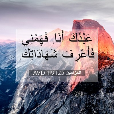 Picture 07 - اَلْمَزَامِيرُ 119:125 AVD - عَبْدُكَ أَنَا. فَهِّمْنِي - Bible Verse Picture