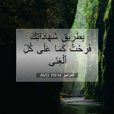 Picture 07 - اَلْمَزَامِيرُ 119:14 AVD - بِطَرِيقِ شَهَادَاتِكَ - Bible Verse Picture