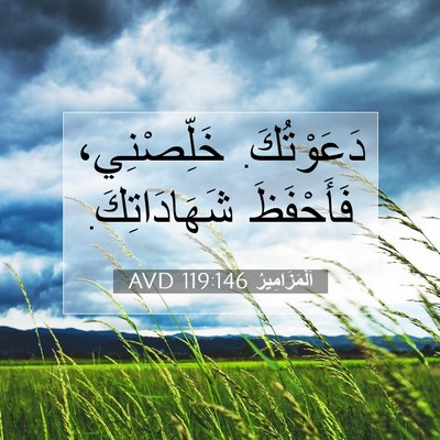 Picture 07 - اَلْمَزَامِيرُ 119:146 AVD - دَعَوْتُكَ. خَلِّصْنِي، - Bible Verse Picture