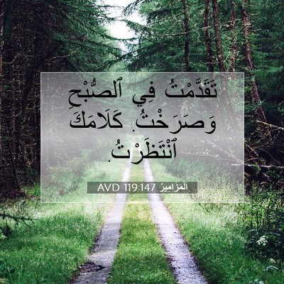Picture 07 - اَلْمَزَامِيرُ 119:147 AVD - تَقَدَّمْتُ فِي ٱلصُّبْحِ - Bible Verse Picture