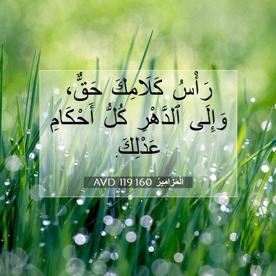 Picture 07 - اَلْمَزَامِيرُ 119:160 AVD - رَأْسُ كَلَامِكَ حَقٌّ، - Bible Verse Picture