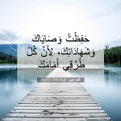 Picture 07 - اَلْمَزَامِيرُ 119:168 AVD - حَفِظْتُ وَصَايَاكَ - Bible Verse Picture