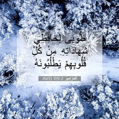 Picture 07 - اَلْمَزَامِيرُ 119:2 AVD - طُوبَى لِحَافِظِي - Bible Verse Picture