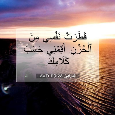 Picture 07 - اَلْمَزَامِيرُ 119:28 AVD - قَطَرَتْ نَفْسِي مِنَ - Bible Verse Picture