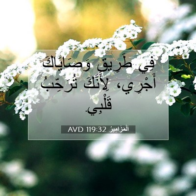 Picture 07 - اَلْمَزَامِيرُ 119:32 AVD - فِي طَرِيقِ وَصَايَاكَ - Bible Verse Picture