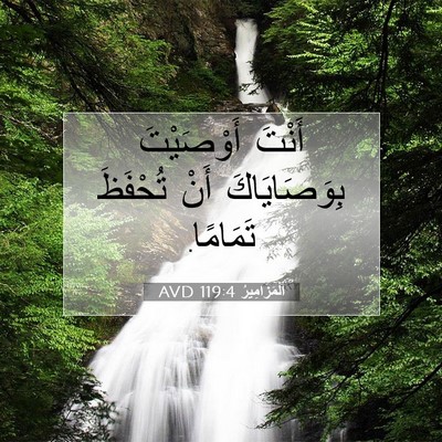 Picture 07 - اَلْمَزَامِيرُ 119:4 AVD - أَنْتَ أَوْصَيْتَ - Bible Verse Picture