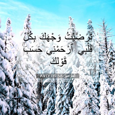 Picture 07 - اَلْمَزَامِيرُ 119:58 AVD - تَرَضَّيْتُ وَجْهَكَ - Bible Verse Picture