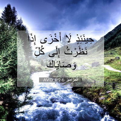 Picture 07 - اَلْمَزَامِيرُ 119:6 AVD - حِينَئِذٍ لَا أَخْزَى - Bible Verse Picture