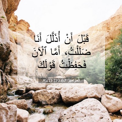 Picture 07 - اَلْمَزَامِيرُ 119:67 AVD - قَبْلَ أَنْ أُذَلَّلَ - Bible Verse Picture