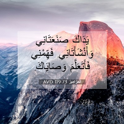 Picture 07 - اَلْمَزَامِيرُ 119:73 AVD - يَدَاكَ صَنَعَتَانِي - Bible Verse Picture