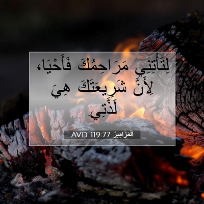 Picture 07 - اَلْمَزَامِيرُ 119:77 AVD - لِتَأْتِنِي مَرَاحِمُكَ - Bible Verse Picture