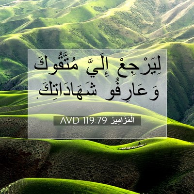 Picture 07 - اَلْمَزَامِيرُ 119:79 AVD - لِيَرْجِعْ إِلَيَّ - Bible Verse Picture