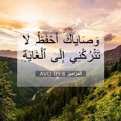 Picture 07 - اَلْمَزَامِيرُ 119:8 AVD - وَصَايَاكَ أَحْفَظُ. لَا - Bible Verse Picture
