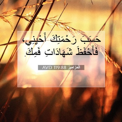 Picture 07 - اَلْمَزَامِيرُ 119:88 AVD - حَسَبَ رَحْمَتِكَ - Bible Verse Picture