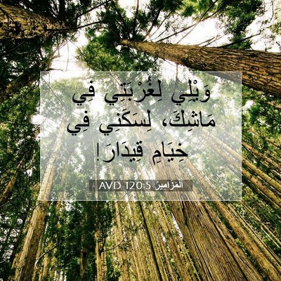Picture 07 - اَلْمَزَامِيرُ 120:5 AVD - وَيْلِي لِغُرْبَتِي فِي - Bible Verse Picture
