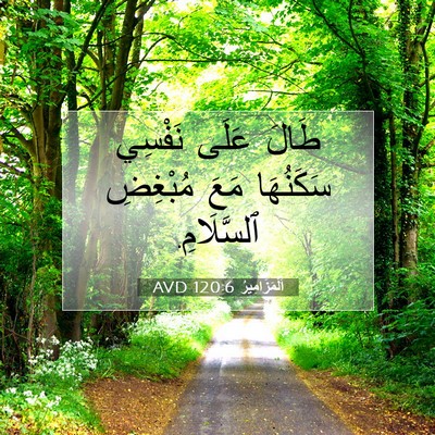 Picture 07 - اَلْمَزَامِيرُ 120:6 AVD - طَالَ عَلَى نَفْسِي - Bible Verse Picture