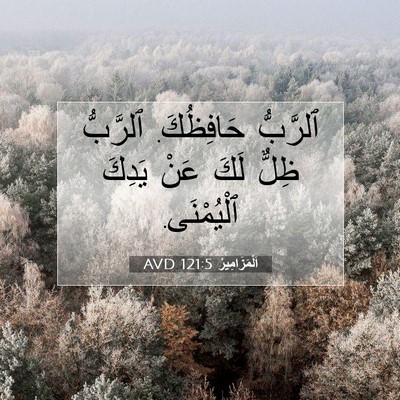 Picture 07 - اَلْمَزَامِيرُ 121:5 AVD - ٱلرَّبُّ حَافِظُكَ. - Bible Verse Picture