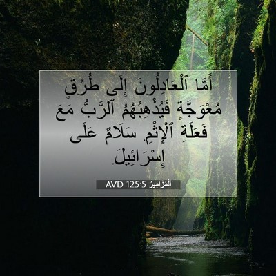 Picture 07 - اَلْمَزَامِيرُ 125:5 AVD - أَمَّا ٱلْعَادِلُونَ - Bible Verse Picture