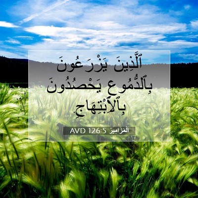 Picture 07 - اَلْمَزَامِيرُ 126:5 AVD - ٱلَّذِينَ يَزْرَعُونَ - Bible Verse Picture