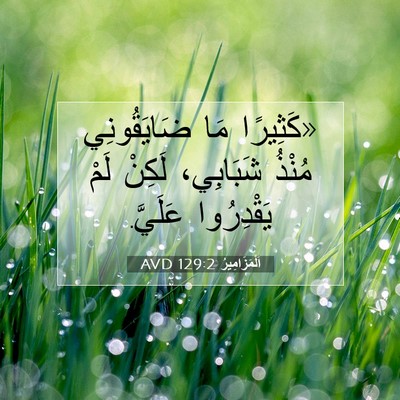 Picture 07 - اَلْمَزَامِيرُ 129:2 AVD - «كَثِيرًا مَا ضَايَقُونِي - Bible Verse Picture