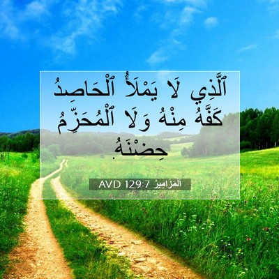 Picture 07 - اَلْمَزَامِيرُ 129:7 AVD - ٱلَّذِي لَا يَمْلَأُ - Bible Verse Picture