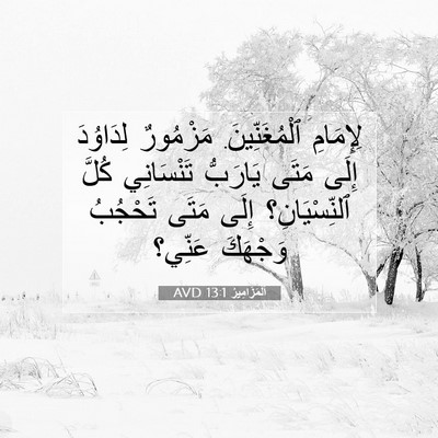 Picture 07 - اَلْمَزَامِيرُ 13:1 AVD - لِإِمَامِ ٱلْمُغَنِّينَ. - Bible Verse Picture
