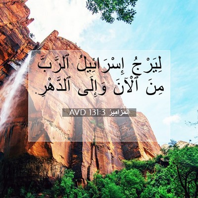 Picture 07 - اَلْمَزَامِيرُ 131:3 AVD - لِيَرْجُ إِسْرَائِيلُ - Bible Verse Picture