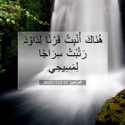 Picture 07 - اَلْمَزَامِيرُ 132:17 AVD - هُنَاكَ أُنْبِتُ قَرْنًا - Bible Verse Picture