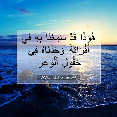 Picture 07 - اَلْمَزَامِيرُ 132:6 AVD - هُوَذَا قَدْ سَمِعْنَا - Bible Verse Picture