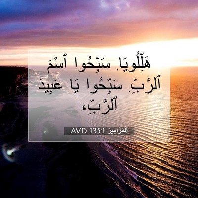 Picture 07 - اَلْمَزَامِيرُ 135:1 AVD - هَلِّلُويَا. سَبِّحُوا - Bible Verse Picture