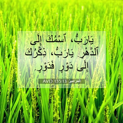 Picture 07 - اَلْمَزَامِيرُ 135:13 AVD - يَارَبُّ، ٱسْمُكَ إِلَى - Bible Verse Picture