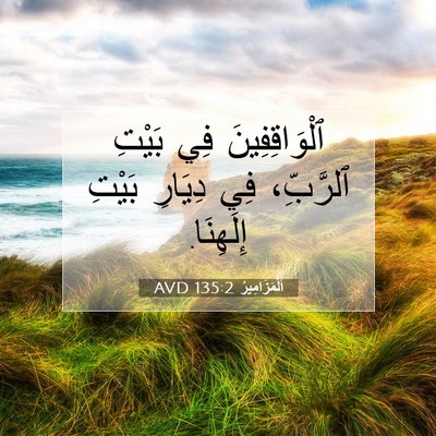 Picture 07 - اَلْمَزَامِيرُ 135:2 AVD - ٱلْوَاقِفِينَ فِي بَيْتِ - Bible Verse Picture