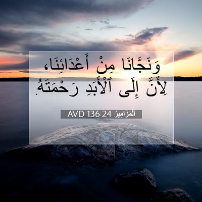 Picture 07 - اَلْمَزَامِيرُ 136:24 AVD - وَنَجَّانَا مِنْ - Bible Verse Picture