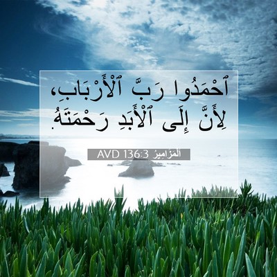 Picture 07 - اَلْمَزَامِيرُ 136:3 AVD - ٱحْمَدُوا رَبَّ - Bible Verse Picture