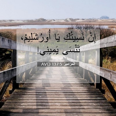 Picture 07 - اَلْمَزَامِيرُ 137:5 AVD - إِنْ نَسِيتُكِ يَا - Bible Verse Picture
