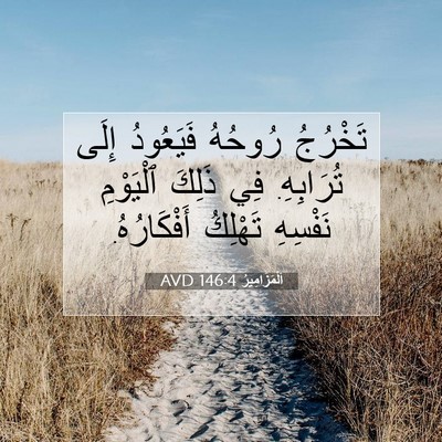 Picture 07 - اَلْمَزَامِيرُ 146:4 AVD - تَخْرُجُ رُوحُهُ - Bible Verse Picture