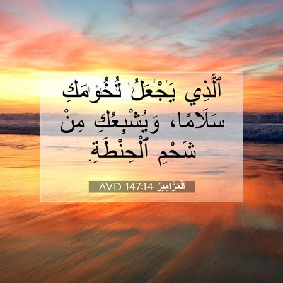 Picture 07 - اَلْمَزَامِيرُ 147:14 AVD - ٱلَّذِي يَجْعَلُ - Bible Verse Picture