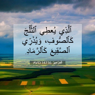 Picture 07 - اَلْمَزَامِيرُ 147:16 AVD - ٱلَّذِي يُعطِي ٱلثَّلْجَ - Bible Verse Picture