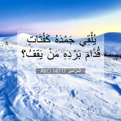 Picture 07 - اَلْمَزَامِيرُ 147:17 AVD - يُلْقِي جَمْدَهُ - Bible Verse Picture