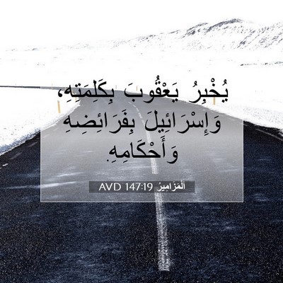 Picture 07 - اَلْمَزَامِيرُ 147:19 AVD - يُخْبِرُ يَعْقُوبَ - Bible Verse Picture