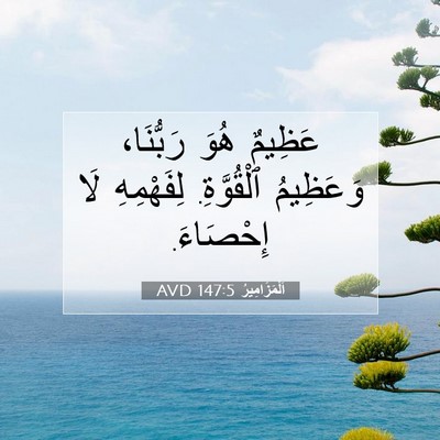 Picture 07 - اَلْمَزَامِيرُ 147:5 AVD - عَظِيمٌ هُوَ رَبُّنَا، - Bible Verse Picture