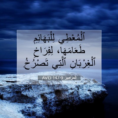 Picture 07 - اَلْمَزَامِيرُ 147:9 AVD - ٱلْمُعْطِي لِلْبَهَائِمِ - Bible Verse Picture