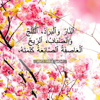 Picture 07 - اَلْمَزَامِيرُ 148:8 AVD - ٱلنَّارُ وَٱلْبَرَدُ، - Bible Verse Picture
