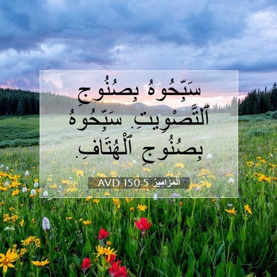 Picture 07 - اَلْمَزَامِيرُ 150:5 AVD - سَبِّحُوهُ بِصُنُوجِ - Bible Verse Picture