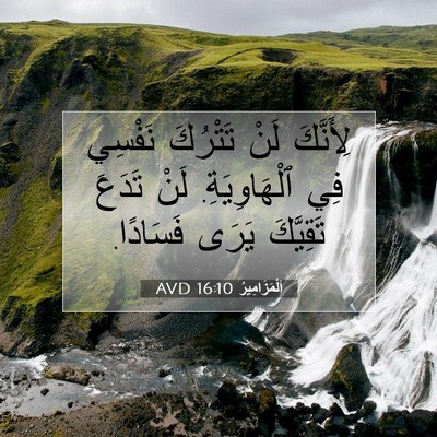 Picture 07 - اَلْمَزَامِيرُ 16:10 AVD - لِأَنَّكَ لَنْ تَتْرُكَ - Bible Verse Picture