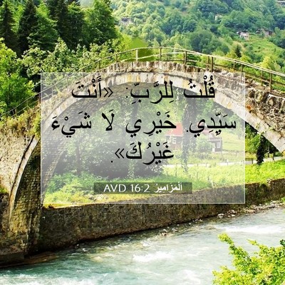 Picture 07 - اَلْمَزَامِيرُ 16:2 AVD - قُلْتُ لِلرَّبِّ: «أَنْتَ - Bible Verse Picture