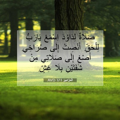 Picture 07 - اَلْمَزَامِيرُ 17:1 AVD - صَلَاةٌ لِدَاوُدَ - Bible Verse Picture