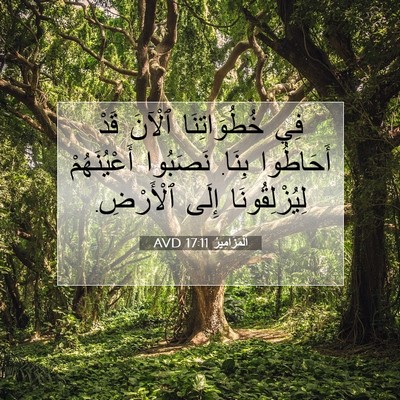 Picture 07 - اَلْمَزَامِيرُ 17:11 AVD - فِي خُطُوَاتِنَا ٱلْآنَ - Bible Verse Picture